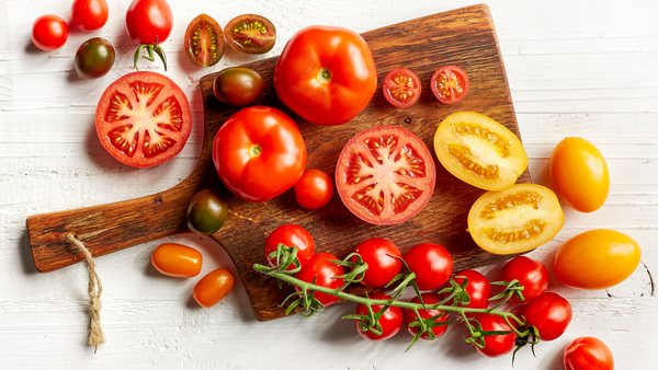 Dürfen Hunde Tomaten essen?