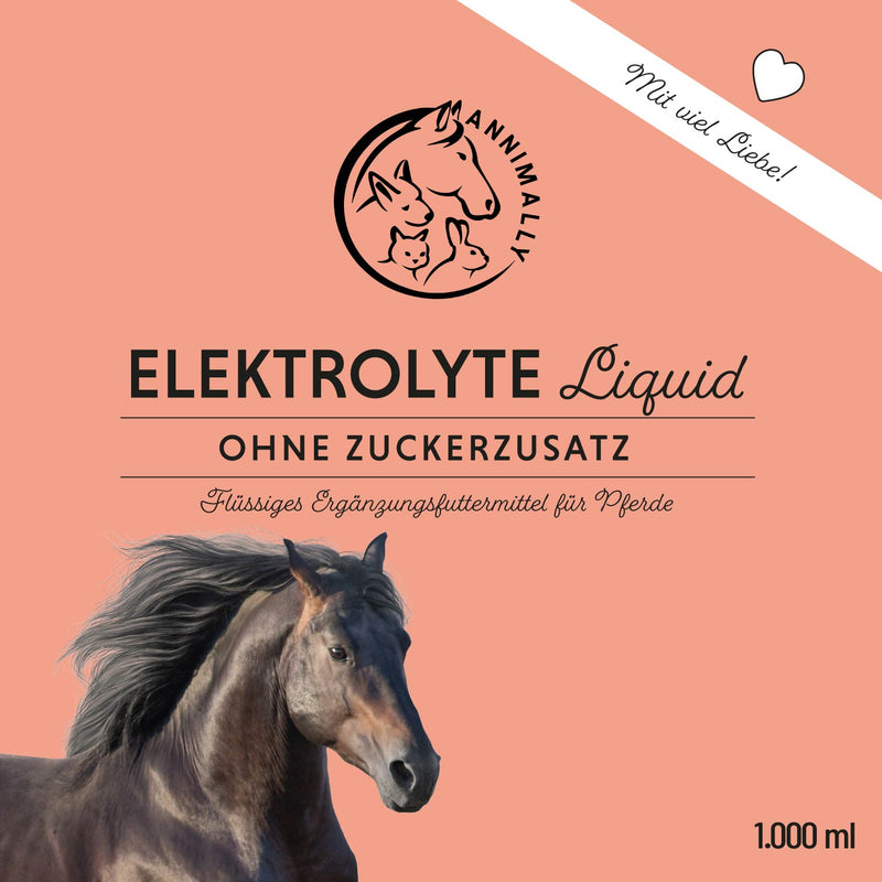 Elektrolyte Liquid