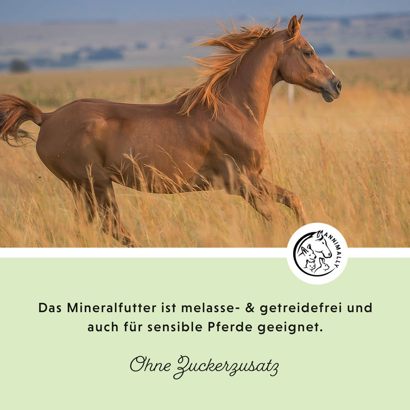 Mineralfutter Sport & Leistung