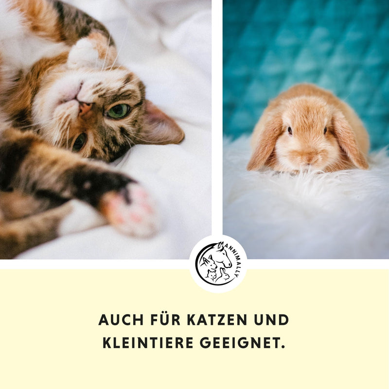 Bierhefe Tabletten, die auch für Katzen und Kleintiere geeignet sind