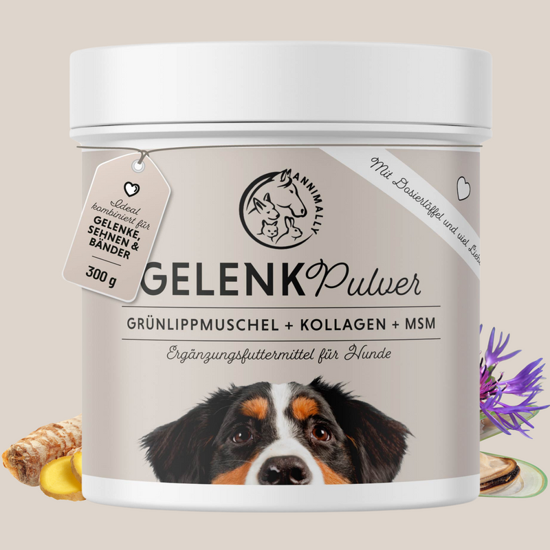 Gelenkpulver