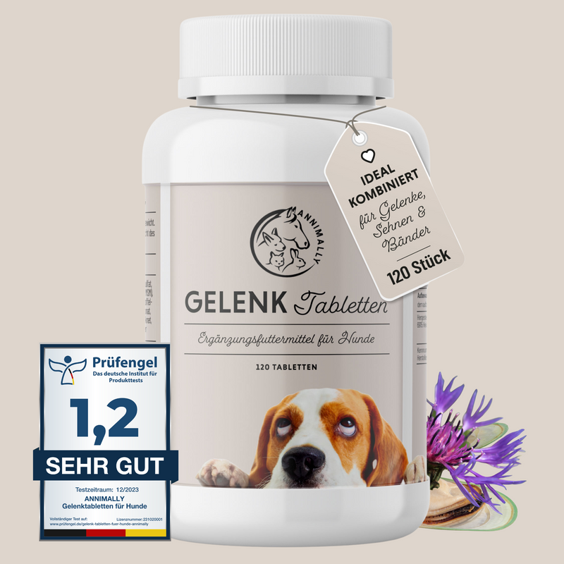 Gelenktabletten