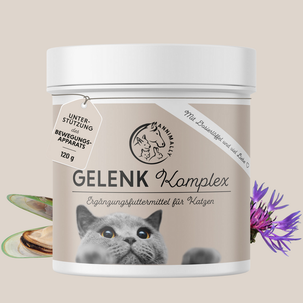 Gelenk Komplex