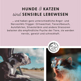 Beruhigungsmittel für Katzen und Hunde