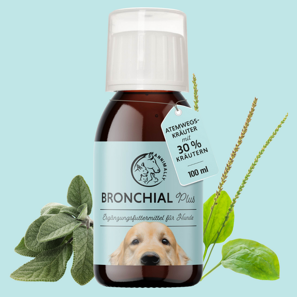 Bronchial Plus