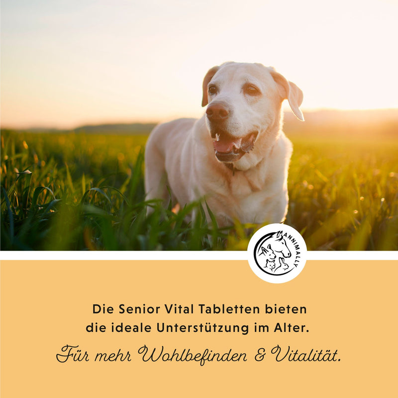 Senior Vital Tabletten